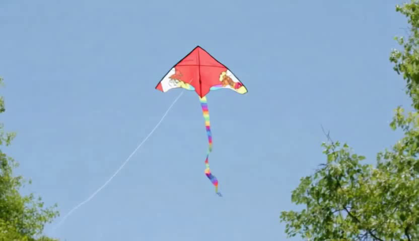 Kite (new)